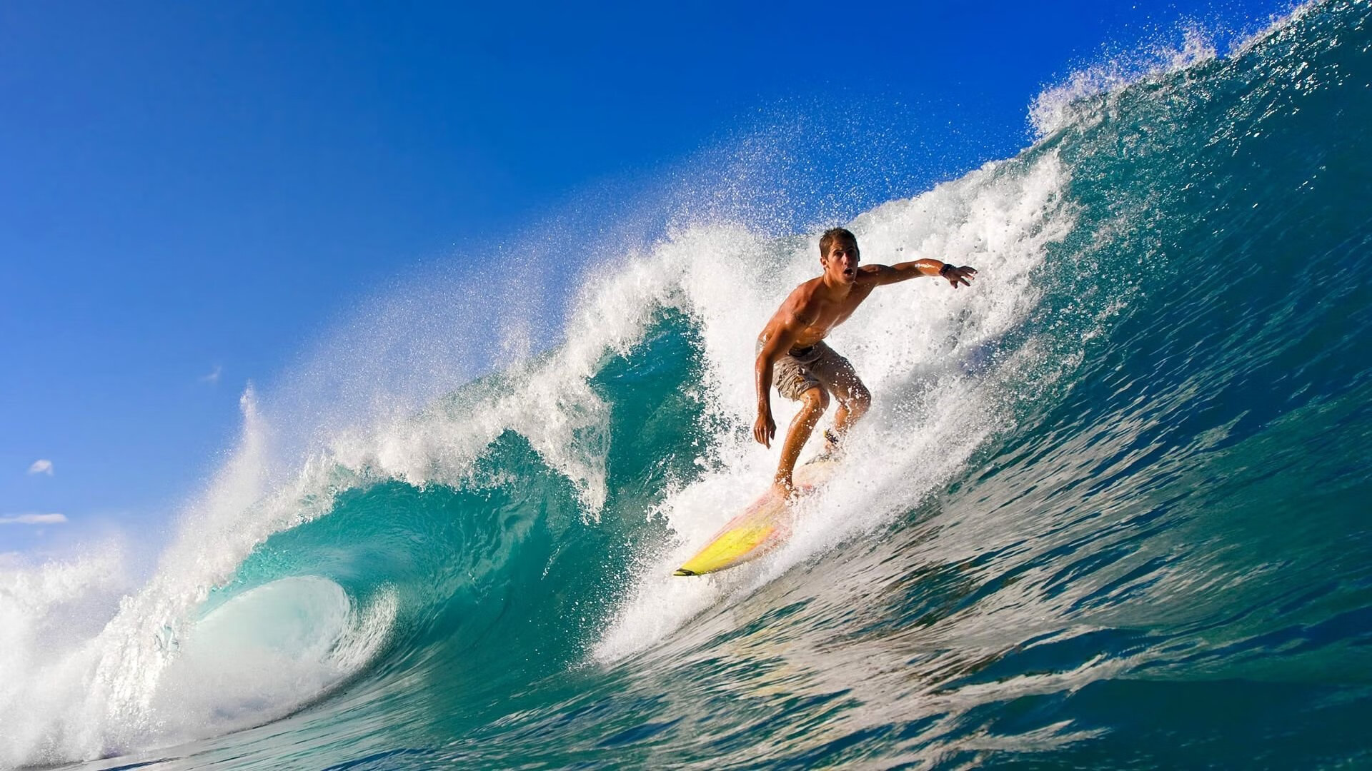 冰与火的对决，美加墨世界杯焦点战与勇士封锁森林狼的战术交响